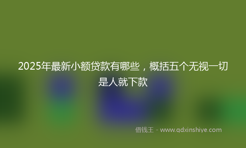 2025年最新小额贷款有哪些，概括五个无视一切是人就下款
