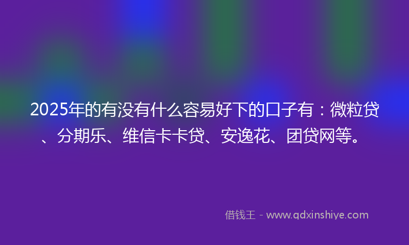 2025年的有没有什么容易好下的口子有：微粒贷、分期乐、维信卡卡贷、安逸花、团贷网等。