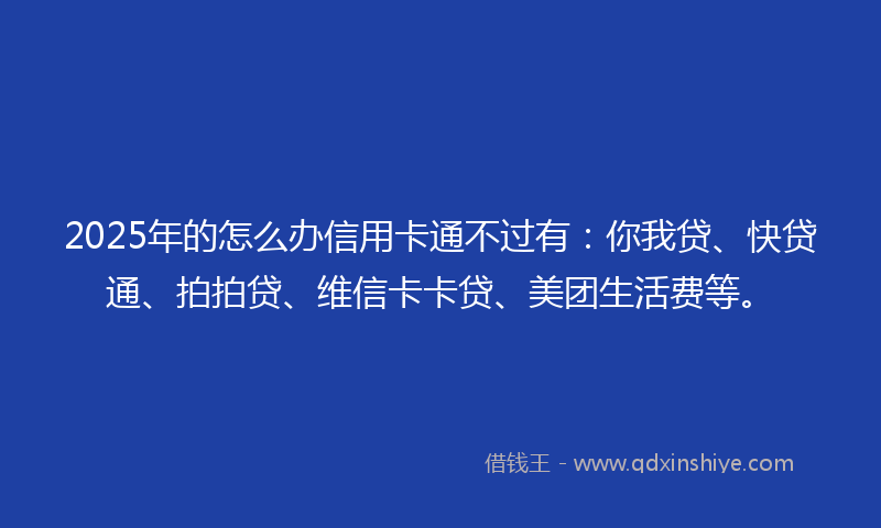 2025年的怎么办信用卡通不过有：你我贷、快贷通、拍拍贷、维信卡卡贷、美团生活费等。