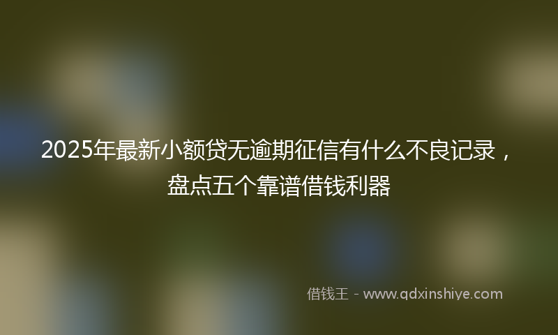 2025年最新小额贷无逾期征信有什么不良记录，盘点五个靠谱借钱利器