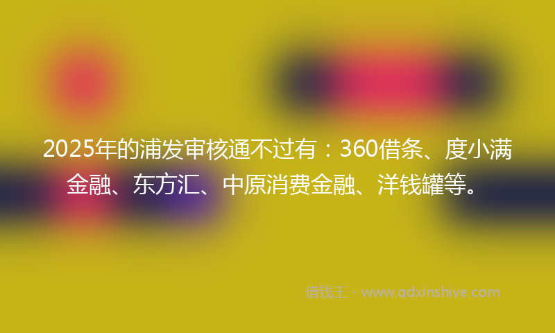2025年的浦发审核通不过有：360借条、度小满金融、东方汇、中原消费金融、洋钱罐等。