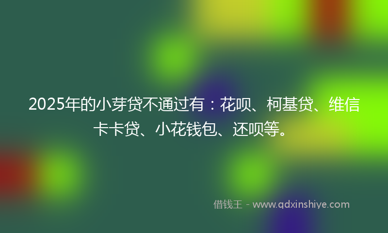 2025年的小芽贷不通过有：花呗、柯基贷、维信卡卡贷、小花钱包、还呗等。