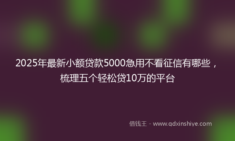 2025年最新小额贷款5000急用不看征信有哪些，梳理五个轻松贷10万的平台