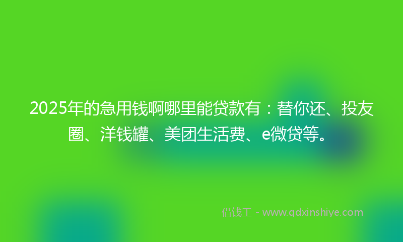 2025年的急用钱啊哪里能贷款有：替你还、投友圈、洋钱罐、美团生活费、e微贷等。