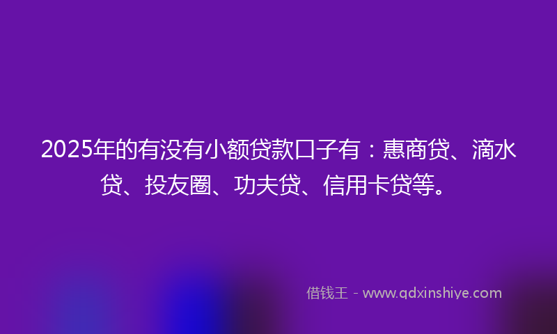 2025年的有没有小额贷款口子有：惠商贷、滴水贷、投友圈、功夫贷、信用卡贷等。