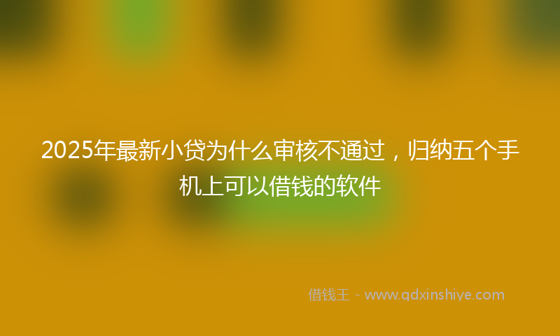 2025年最新小贷为什么审核不通过，归纳五个手机上可以借钱的软件