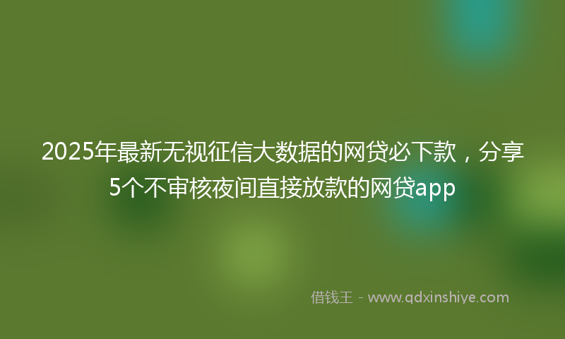 2025年最新无视征信大数据的网贷必下款，分享5个不审核夜间直接放款的网贷app