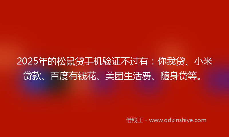 2025年的松鼠贷手机验证不过有：你我贷、小米贷款、百度有钱花、美团生活费、随身贷等。