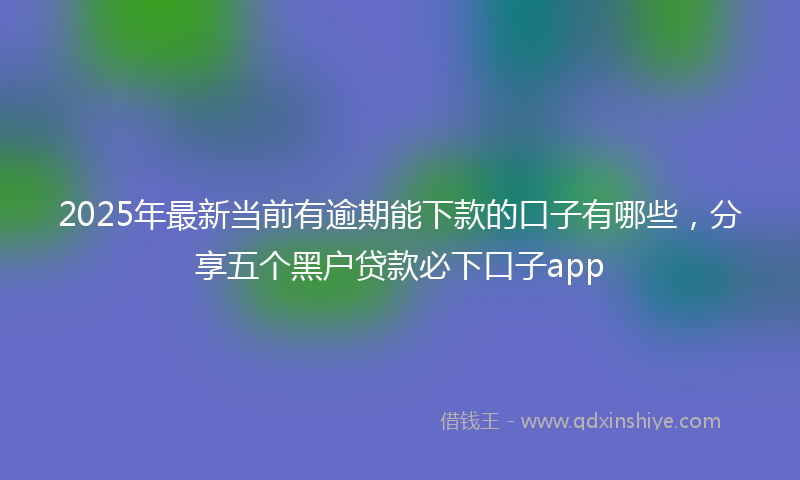 2025年最新当前有逾期能下款的口子有哪些，分享五个黑户贷款必下口子app