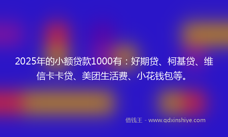 2025年的小额贷款1000有：好期贷、柯基贷、维信卡卡贷、美团生活费、小花钱包等。