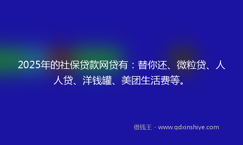 2025年的社保贷款网贷有：替你还、微粒贷、人人贷、洋钱罐、美团生活费等。