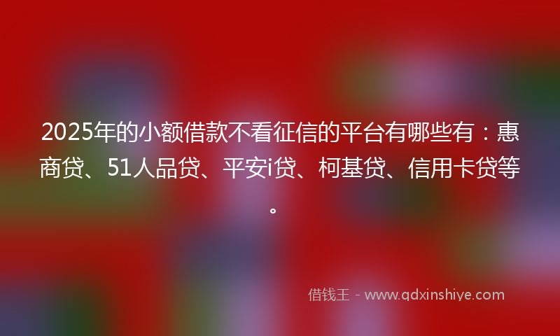2025年的小额借款不看征信的平台有哪些有：惠商贷、51人品贷、平安i贷、柯基贷、信用卡贷等。
