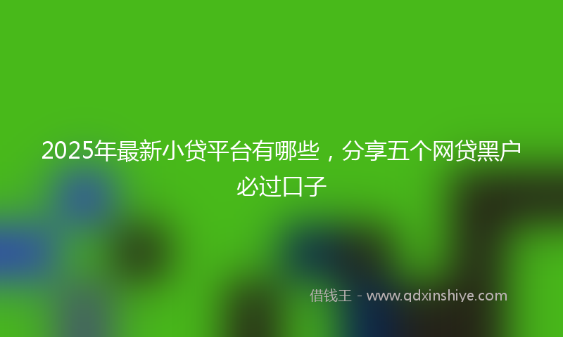 2025年最新小贷平台有哪些，分享五个网贷黑户必过口子