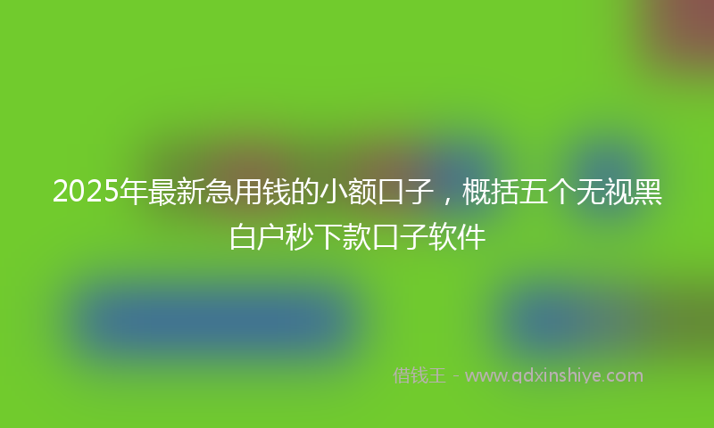 2025年最新急用钱的小额口子，概括五个无视黑白户秒下款口子软件
