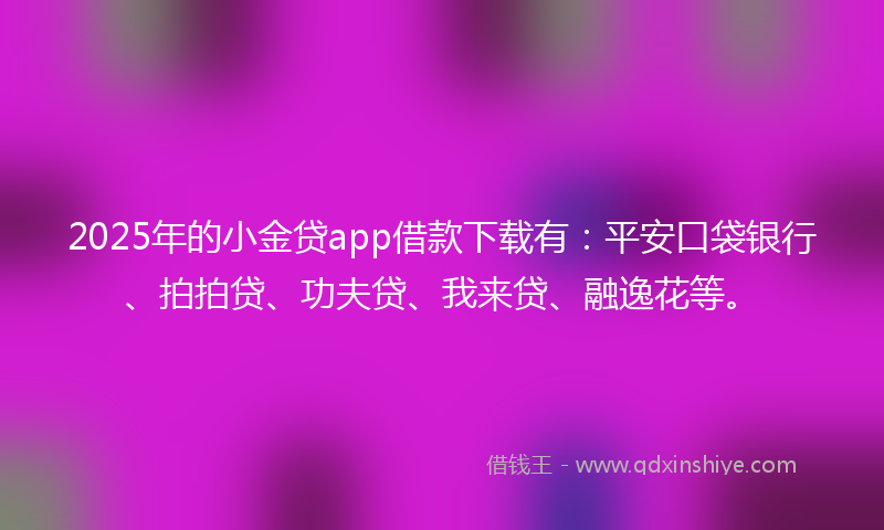 2025年的小金贷app借款下载有：平安口袋银行、拍拍贷、功夫贷、我来贷、融逸花等。