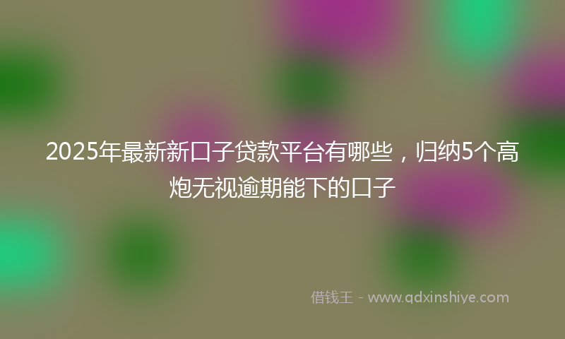 2025年最新新口子贷款平台有哪些，归纳5个高炮无视逾期能下的口子