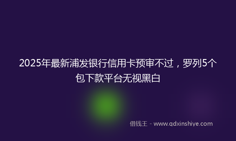 2025年最新浦发银行信用卡预审不过，罗列5个包下款平台无视黑白