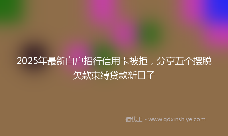 2025年最新白户招行信用卡被拒，分享五个摆脱欠款束缚贷款新口子