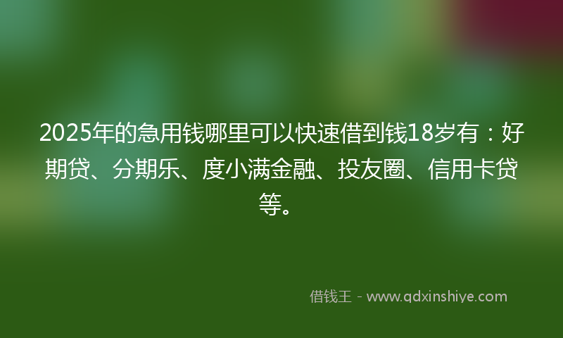 2025年的急用钱哪里可以快速借到钱18岁有：好期贷、分期乐、度小满金融、投友圈、信用卡贷等。