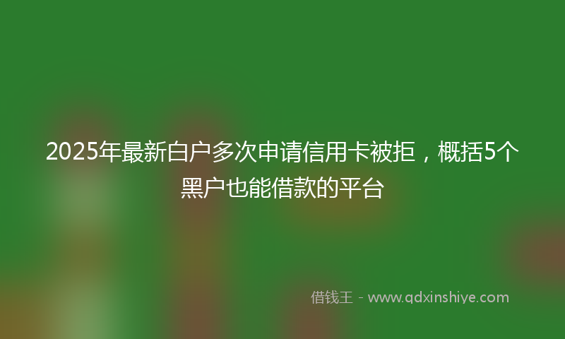 2025年最新白户多次申请信用卡被拒，概括5个黑户也能借款的平台