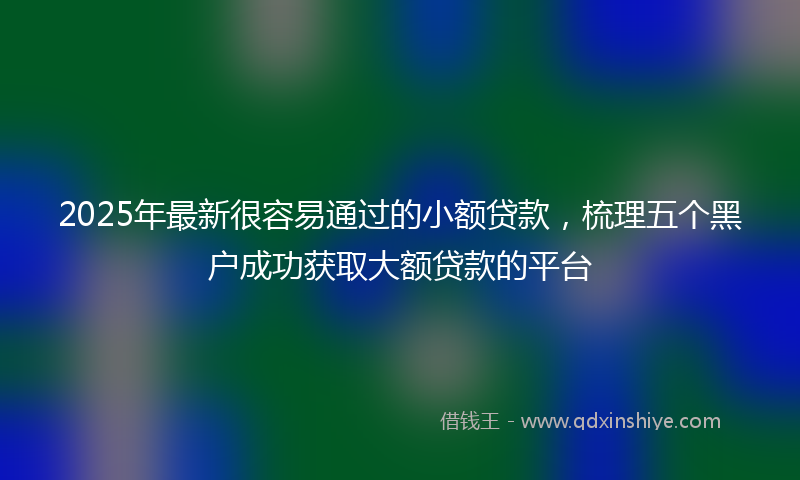 2025年最新很容易通过的小额贷款，梳理五个黑户成功获取大额贷款的平台