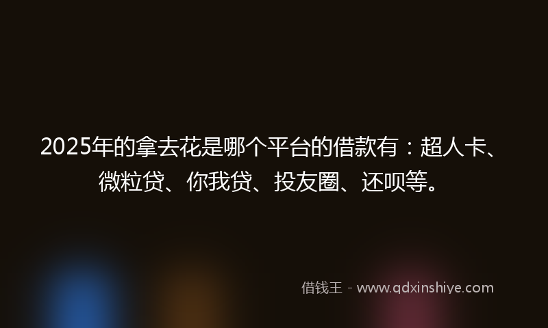 2025年的拿去花是哪个平台的借款有：超人卡、微粒贷、你我贷、投友圈、还呗等。