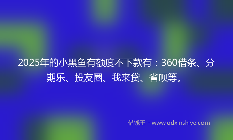 2025年的小黑鱼有额度不下款有：360借条、分期乐、投友圈、我来贷、省呗等。
