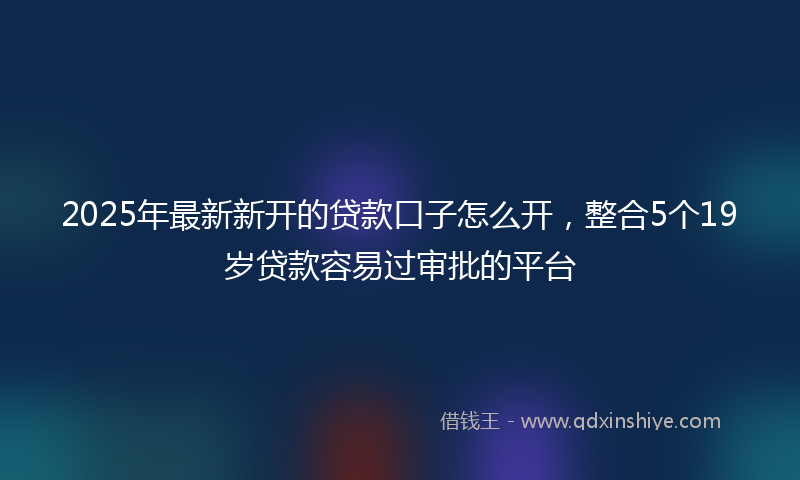 2025年最新新开的贷款口子怎么开，整合5个19岁贷款容易过审批的平台