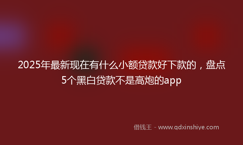 2025年最新现在有什么小额贷款好下款的，盘点5个黑白贷款不是高炮的app
