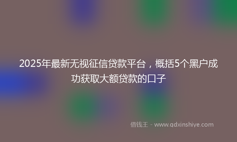 2025年最新无视征信贷款平台，概括5个黑户成功获取大额贷款的口子
