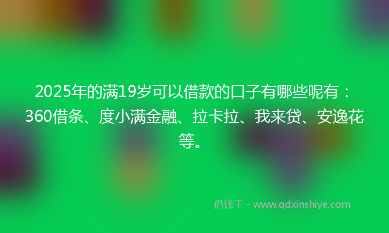 2025年的满19岁可以借款的口子有哪些呢有：360借条、度小满金融、拉卡拉、我来贷、安逸花等。