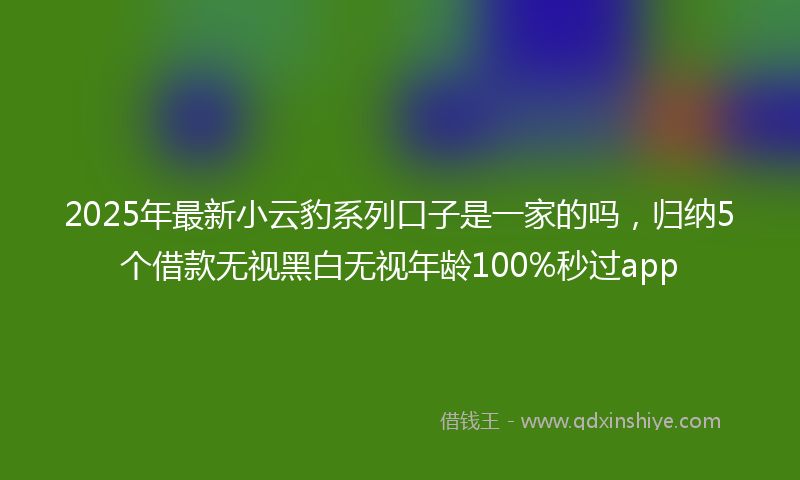 2025年最新小云豹系列口子是一家的吗，归纳5个借款无视黑白无视年龄100%秒过app