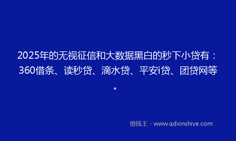 2025年的无视征信和大数据黑白的秒下小贷有：360借条、读秒贷、滴水贷、平安i贷、团贷网等。