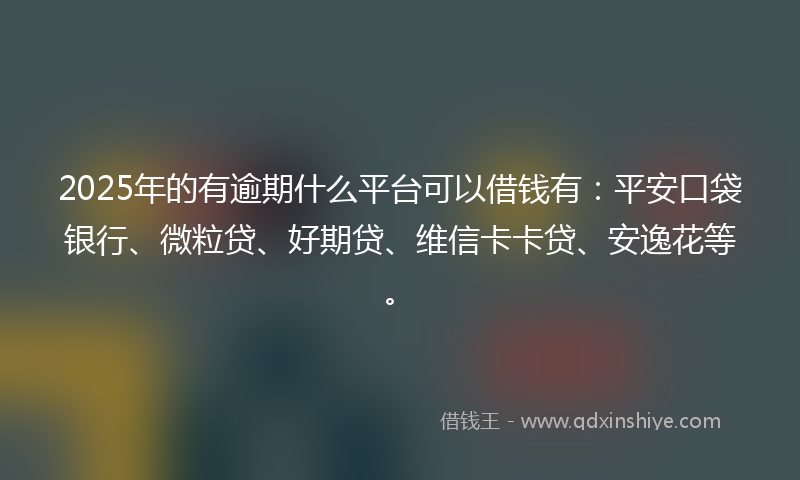 2025年的有逾期什么平台可以借钱有：平安口袋银行、微粒贷、好期贷、维信卡卡贷、安逸花等。