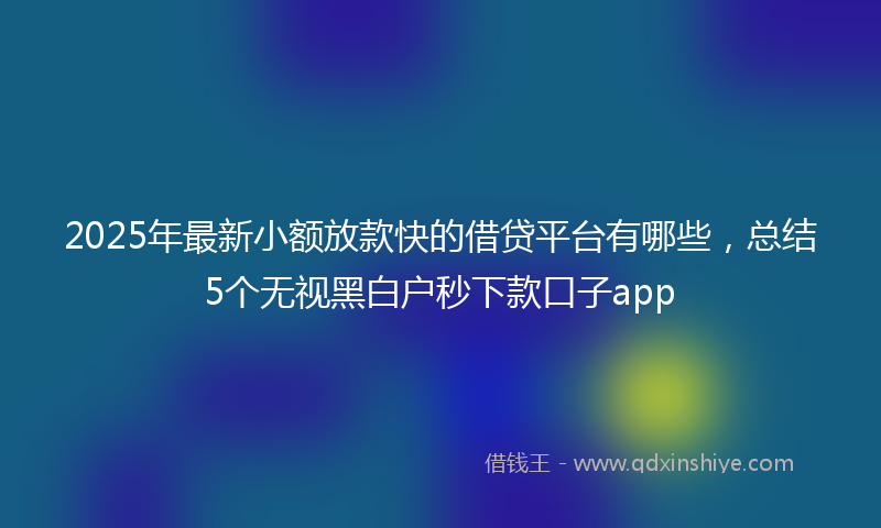 2025年最新小额放款快的借贷平台有哪些，总结5个无视黑白户秒下款口子app