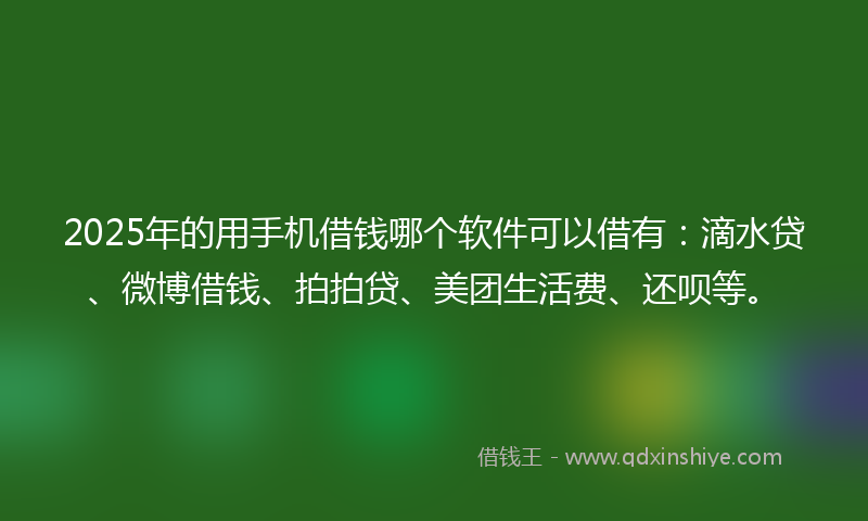 2025年的用手机借钱哪个软件可以借有：滴水贷、微博借钱、拍拍贷、美团生活费、还呗等。