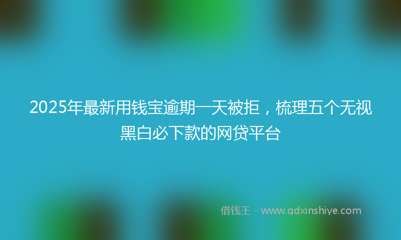 2025年最新用钱宝逾期一天被拒，梳理五个无视黑白必下款的网贷平台