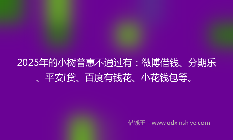 2025年的小树普惠不通过有：微博借钱、分期乐、平安i贷、百度有钱花、小花钱包等。