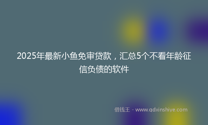 2025年最新小鱼免审贷款，汇总5个不看年龄征信负债的软件