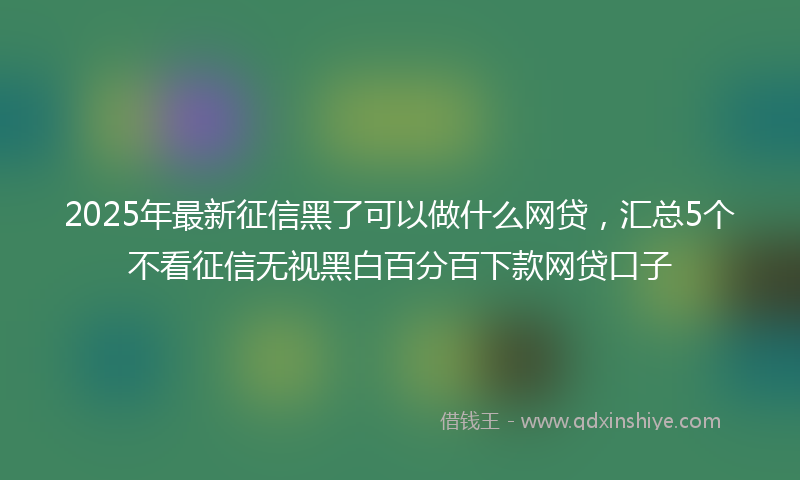 2025年最新征信黑了可以做什么网贷，汇总5个不看征信无视黑白百分百下款网贷口子
