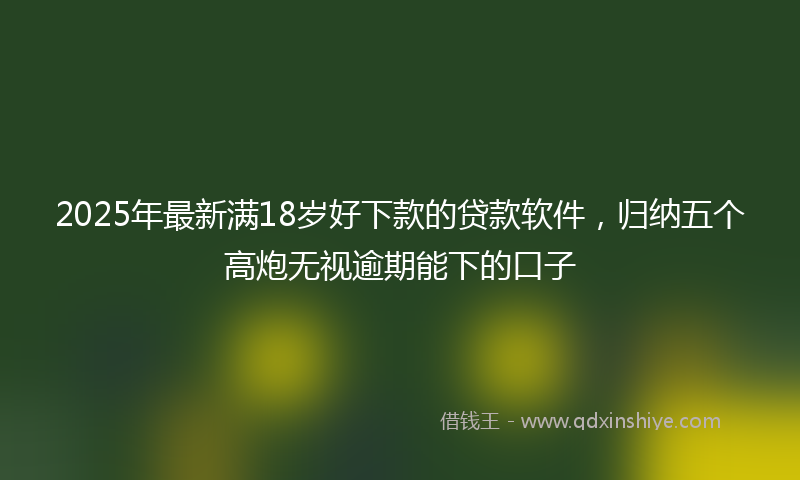 2025年最新满18岁好下款的贷款软件，归纳五个高炮无视逾期能下的口子