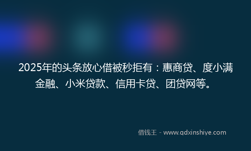 2025年的头条放心借被秒拒有：惠商贷、度小满金融、小米贷款、信用卡贷、团贷网等。