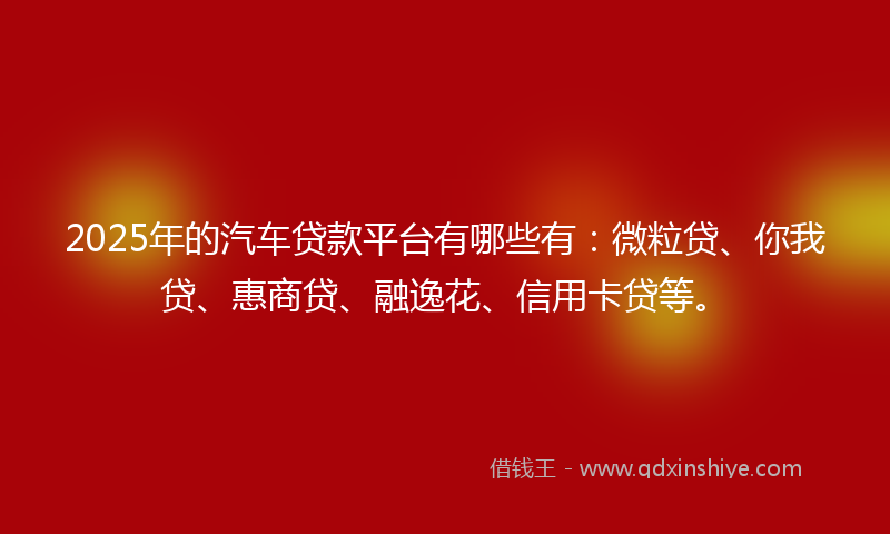 2025年的汽车贷款平台有哪些有：微粒贷、你我贷、惠商贷、融逸花、信用卡贷等。