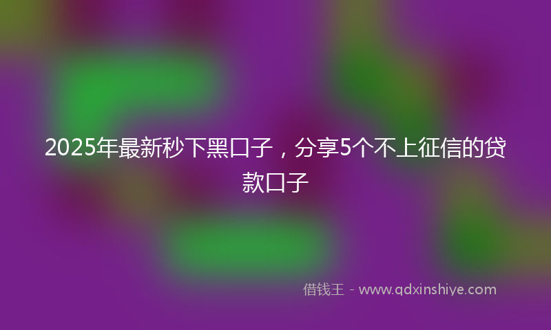 2025年最新秒下黑口子，分享5个不上征信的贷款口子