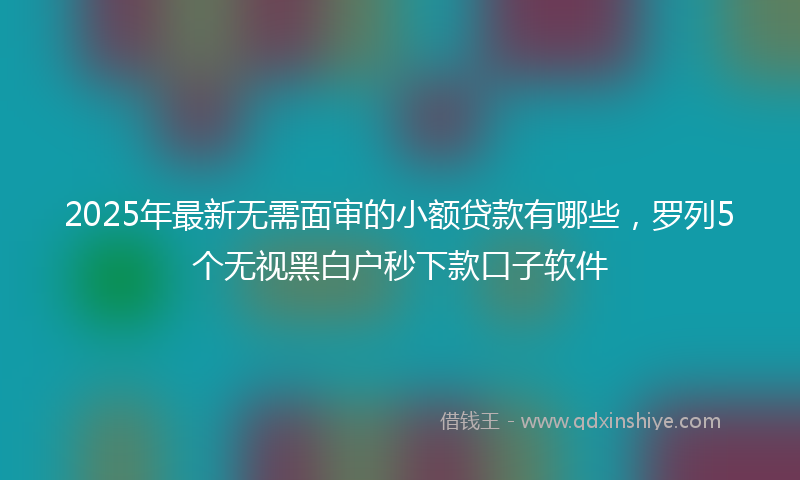2025年最新无需面审的小额贷款有哪些，罗列5个无视黑白户秒下款口子软件