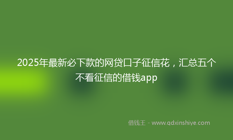 2025年最新必下款的网贷口子征信花，汇总五个不看征信的借钱app