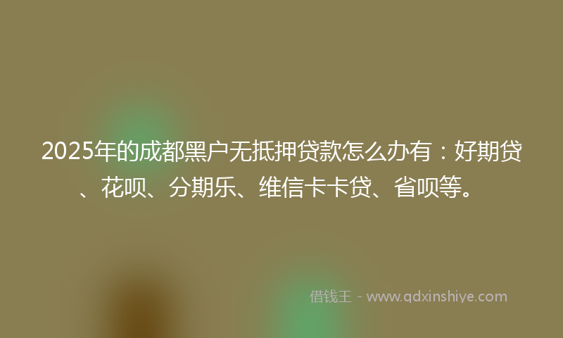 2025年的成都黑户无抵押贷款怎么办有：好期贷、花呗、分期乐、维信卡卡贷、省呗等。