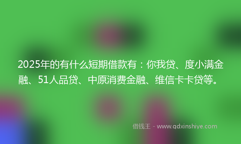 2025年的有什么短期借款有：你我贷、度小满金融、51人品贷、中原消费金融、维信卡卡贷等。