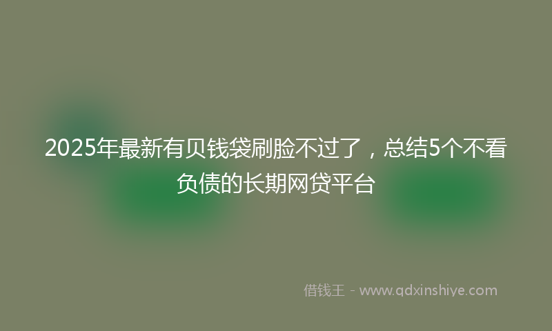 2025年最新有贝钱袋刷脸不过了，总结5个不看负债的长期网贷平台