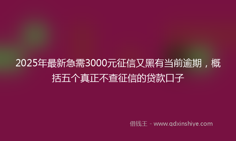 2025年最新急需3000元征信又黑有当前逾期，概括五个真正不查征信的贷款口子